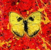 Cover Ed Sheeran - Shivers Ed Sheeran - Shivers