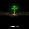 Cover SYNC24 - Bioluminescent Creatures SYNC24 - Bioluminescent Creatures