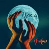 Illaria - Вербовая дощечка