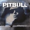 Pitbull vs Afro - Maldito Alcohol