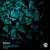 Cover Blazer - Obsidian