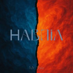 Cover Mr. Safe - Навпіл
