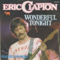 Cover Eric Clapton - Wonderful Tonight