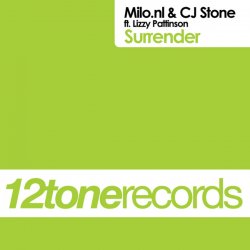 Cover Milo.Nl & CJ Stone Feat. Lizzy Pattinson - Surrender (Original Mix)