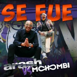 Cover Arash vs Mohombi - Se Fue (Extended)