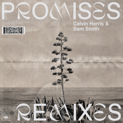 Cover Calvin Harris;Sam Smith - Promises (David Guetta Remix)