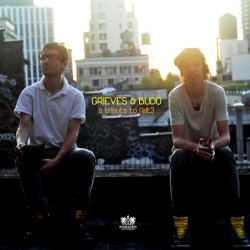 Cover Grieves & Budo - Like You