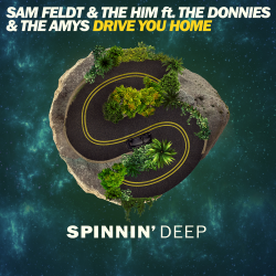 Cover Sam Feldt & The Him ft. The Donnies The Amys - Drive You Home (Original Mix)