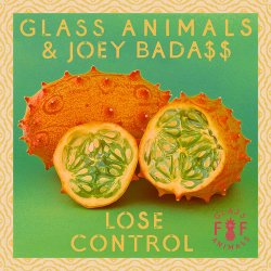 Cover Glass Animals - Lose Control