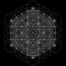 Cover 2hollis - Cope
