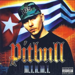 Cover Pitbull ft. Lil Jon - Culo