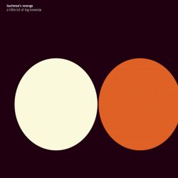 Cover Bushman's Revenge - Tinnitus Love Poem