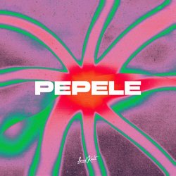 Cover AFRONOM & Lucas Estrada & Idd Aziz - Pepele