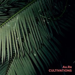 Cover Au.Ra - Pulse