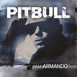 Cover Pitbull vs Afro - Maldito Alcohol