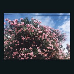 Cover Ceres - Okay