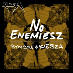 Cover Syn Cole & Kiesza - No Enemiesz (Original Mix)