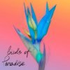 From:Ksusha & Yongue - Birds Of Paradise