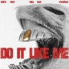 White Pony & Riko Dan & Flowdan - Do It LIke Me (VIP)