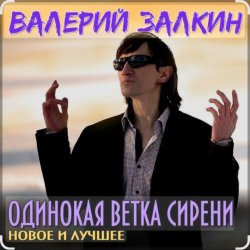 Cover Валерий Залкин - Одинокая ветка сирени