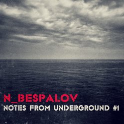 Cover N_Bespalov - Silence
