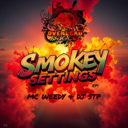 Cover Dj Stp, Mc Weedy - All My Love