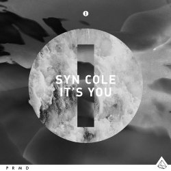 Cover Syn Cole - It's You (Original Mix)