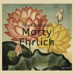 Cover Marty Ehrlich - Stone