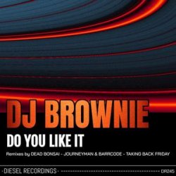 Cover DJ Brownie - Do You Like It
