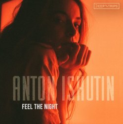 Cover Anton Ishutin & Nikita Malininin - D.N.A