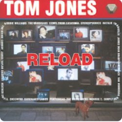 Cover Tom Jones (Feat. Mousse T.) - Sexbomb