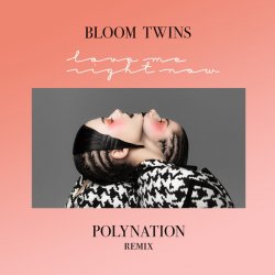 Cover Bloom Twins - Love Me Right Now (Polynation Remix)