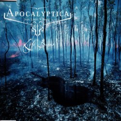 Cover Apocalyptica Feat. Lauri Ylönen - Life Burns