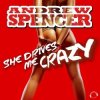 Cover Andrew Spencer - She Drives Me Crazy (Festival Extended Mix) Andrew Spencer - She Drives Me Crazy (Festival Extended Mix)