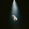 Cover Ariana Grande - dandelion Ariana Grande - dandelion
