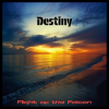 Cover Flight of the Falcon - Destiny (Radio edit) Flight of the Falcon - Destiny (Radio edit)
