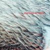 Cover Charlotte De Witte - Vision Charlotte De Witte - Vision