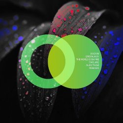 Cover Boosin & Greenjack - The World Is on Fire (Aleh Team Remix)