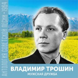 Cover Владимир Трошин - Ты не печалься