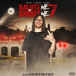 Cover Waka Flocka Flame - Fight