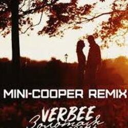 Cover VERBEE - Прятки (Mini-COOPER Remix)