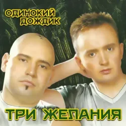 Cover DJ Vital & Project 3 Желания - Подснежники