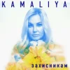 Cover Kamaliya - Захисникам Kamaliya - Захисникам