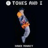 Cover Tones & I feat. Dj Noiz - Dance Monkey Tones & I feat. Dj Noiz - Dance Monkey