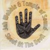 Jah Wobble & Temple Of Sound - Zaardub