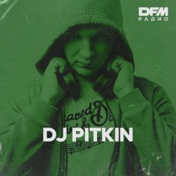 Cover Dj Pitkin - RАЙ