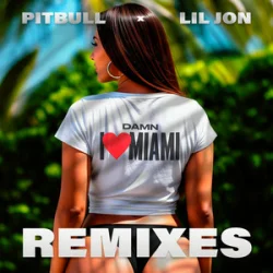 Cover Pitbull & Lil Jon - Damn I Love Miami (JumpSmokers Remix)