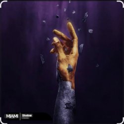 Cover Zmeex - Shadow (Original Mix)