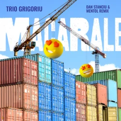 Cover Trio Grigoriu - Macarale (Dan Stanciu & Mentol Remix)