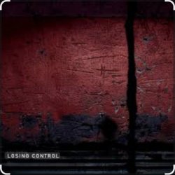 Cover DNDM feat. Davvi - Losing Control